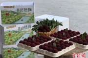 紫微合盘高速赋能产业升级：一条“杨梅路”的致富密码